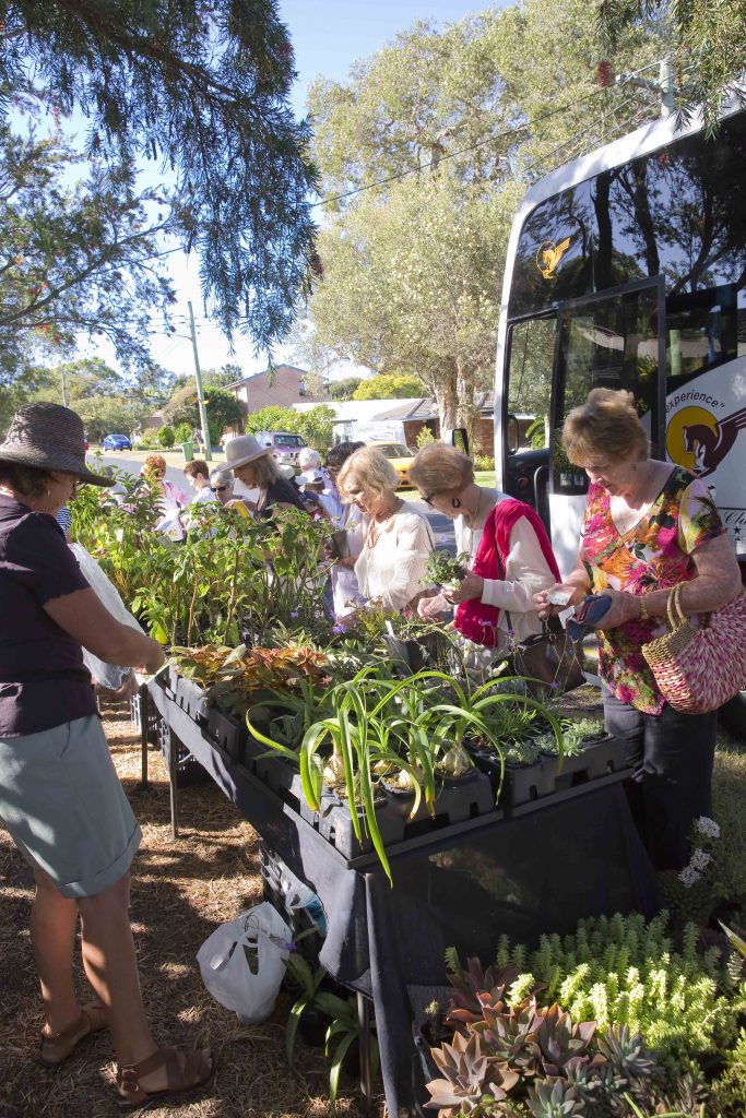 Coachwood's plant fever at 'Sea-Changer'
